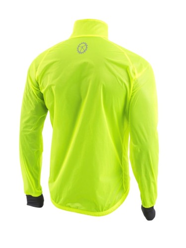 Windy Fluo  2.jpg