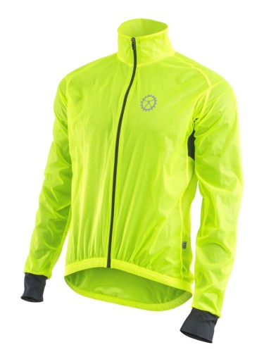Windy Fluo 1.jpg