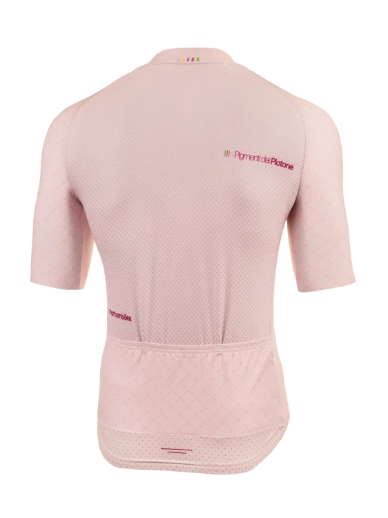 PdP Rosa Nebbia 213 (1).jpg